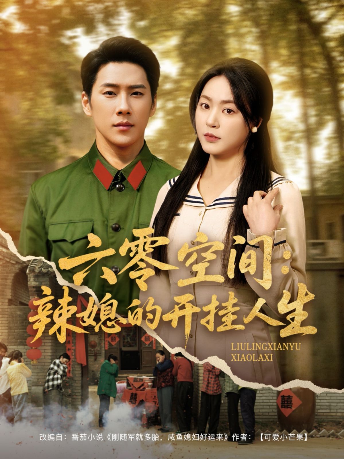 六零空間辣媳的開(kāi)掛人生(全集)