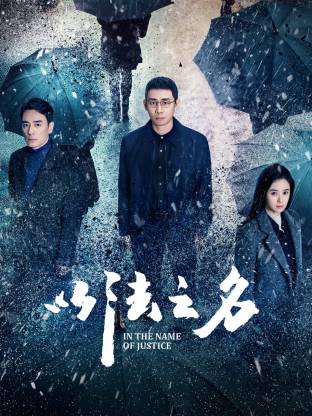 以法之名(全集)