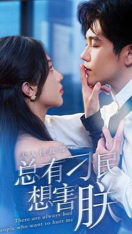 夫人快救駕，總有刁民想害朕(全集)