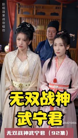 無雙戰(zhàn)神武寧君(全集)