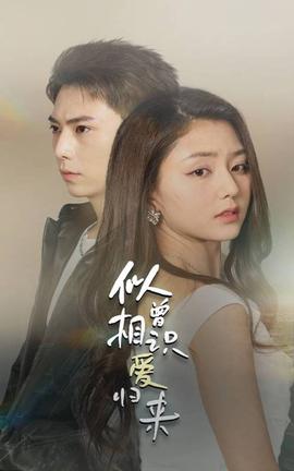 似曾相識(shí)愛歸來(全集)