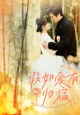 假如愛(ài)有歸宿(全集)