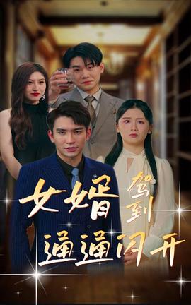 女婿駕到，通通閃開(全集)