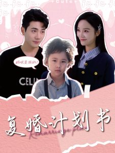 復(fù)婚計(jì)劃書(shū)(全集)