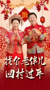 找個(gè)老伴兒回村過年(全集)