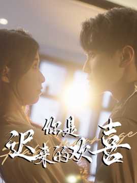 你是遲來(lái)的歡喜78集(全集)