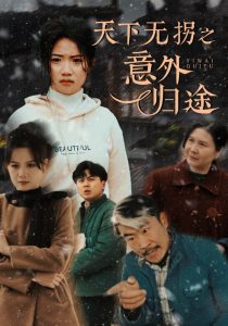 天下無(wú)拐之意外歸途(全集)