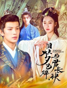 舊夢已碎，與君長訣＆終是深情錯付君(全集)