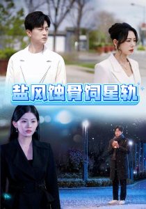 鹽風(fēng)蝕骨飼星軌(全集)