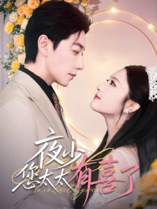 夜少，您太太有喜了(全集)