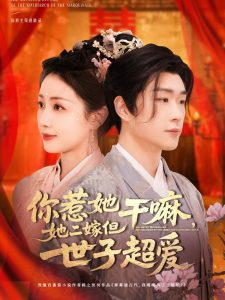 你惹她干嘛，她二嫁但世子超愛(ài)(全集)