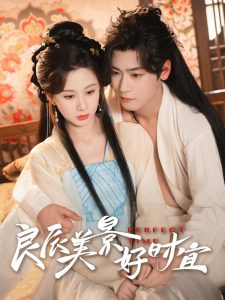 良辰美景好時宜(全集)