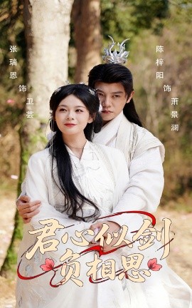 君心似劍負(fù)相思(全集)