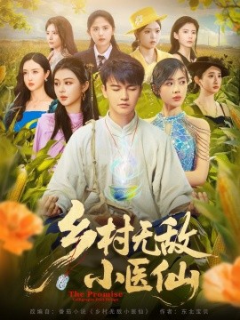 鄉(xiāng)村無敵小醫(yī)仙(全集)