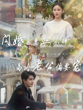 閃婚孕妻逃不掉，高冷老公偏要寵(全集)