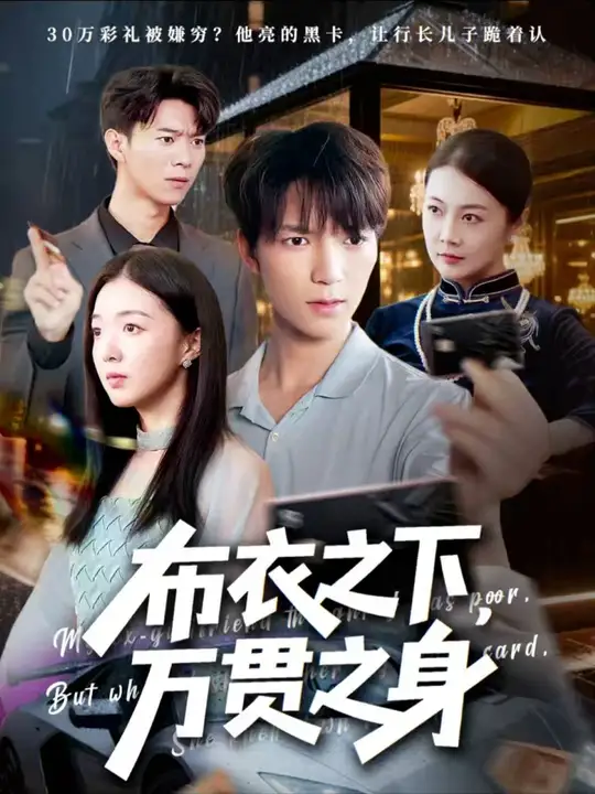 布衣之下萬(wàn)貫之身(全集)
