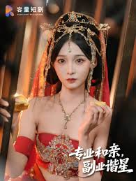 專業(yè)和親，副業(yè)諧星(全集)