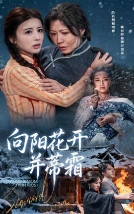向陽(yáng)花開(kāi)并蒂霜(全集)