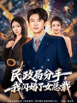 民政局分手，我閃婚了女總裁(全集)