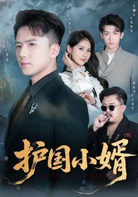 護國小婿(全集)