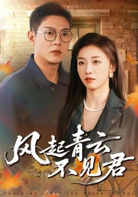風(fēng)起青云不見君(全集)