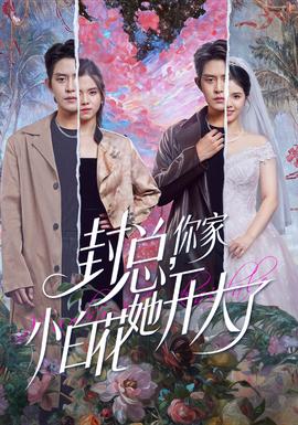 封總，你家小白花她開(kāi)大了(全集)