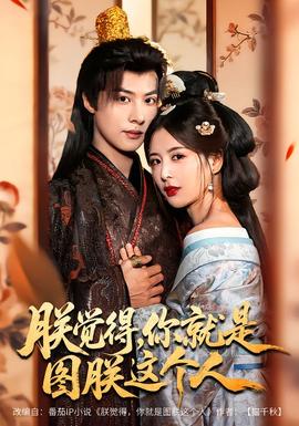 朕覺得，你就是圖朕這個人(全集)