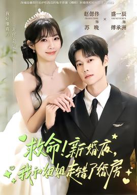 救命！新婚夜，我和姐姐走錯(cuò)了婚房(全集)