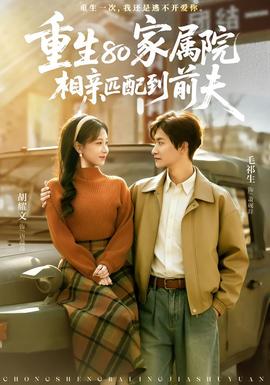 重生80家屬院，相親匹配到前夫(全集)