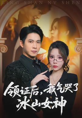 領(lǐng)證后，我氣哭了冰山女神(全集)