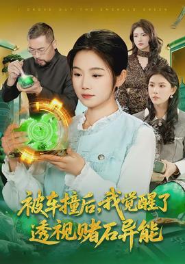 被車撞后，我覺醒了透視賭石異能了(全集)