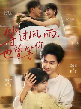 等過(guò)風(fēng)雨，也曾等你(全集)