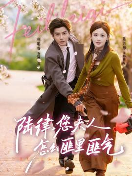 陸律，您夫人怎么匪里匪氣(全集)