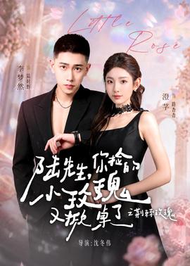陸先生，你撿的小玫瑰又掀桌了之荊棘玫瑰(全集)